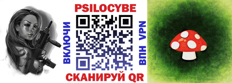 закладка  Тобольск  Псилоцибиновые грибы MAGIC MUSHROOMS 