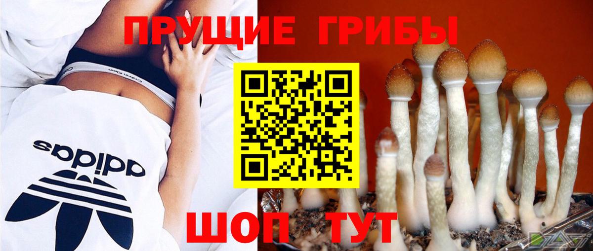 Псилоцибиновые грибы Cubensis  Галлюциногенные грибы Psilocybe  Тобольск  Вход с VPN 